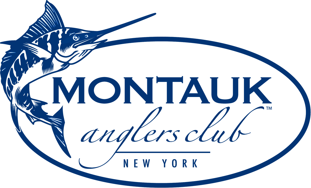 montauk yacht club and marina