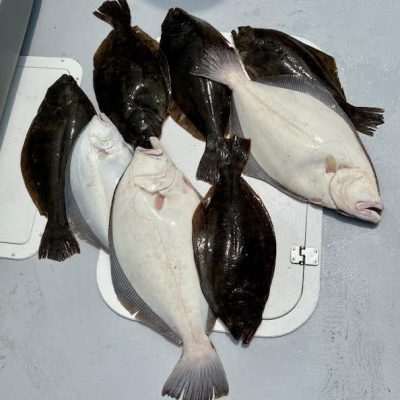 gianna helena charters montauk