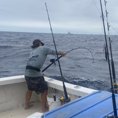 momentum fishing charters montauk