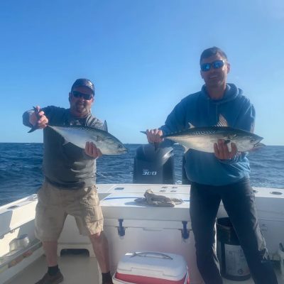 vitamin sea fishing charters montauk