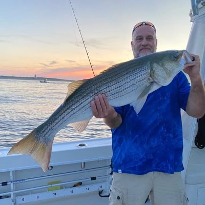 vitamin sea fishing charters montauk